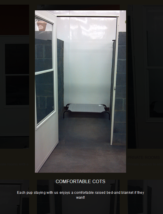 Southern Pawz guest and facility 8