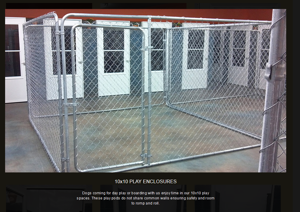 Southern Pawz guest and facility 4